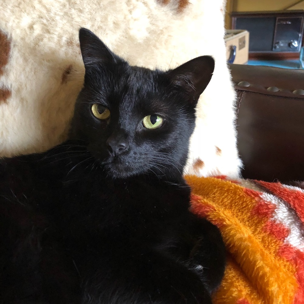 Meet your Posher, Beth